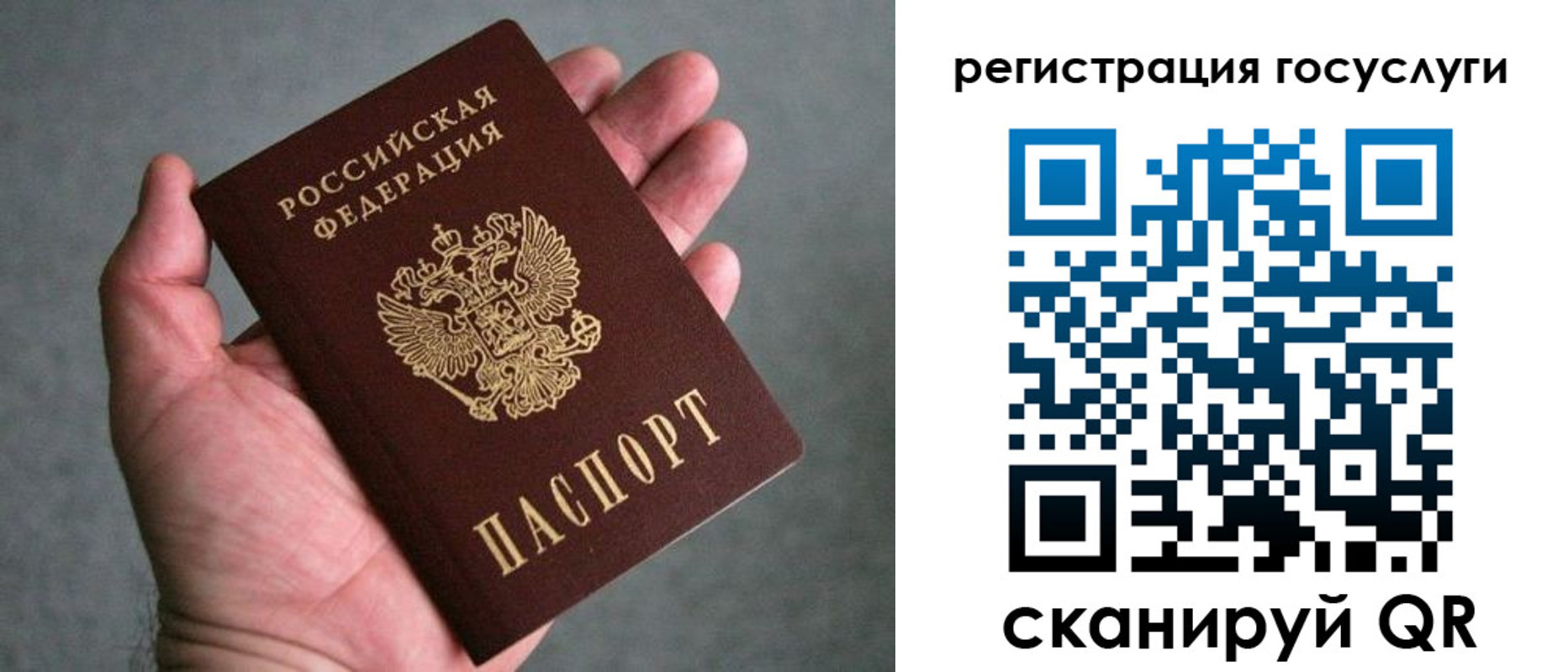прописка поиск в Александровске